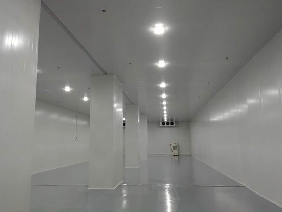 建設大型食品冷鏈物流冷藏庫費用一般是多少? 建設大型食品冷鏈物流冷藏庫費用一般是多少?