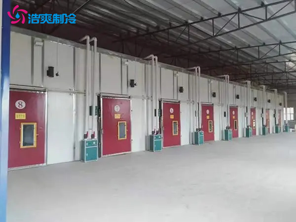 果蔬氣調冷藏庫 火龍果 獼猴桃冷庫建造 鮮花保鮮冷庫 果蔬氣調冷藏庫 火龍果 獼猴桃冷庫建造 鮮花保鮮冷庫
