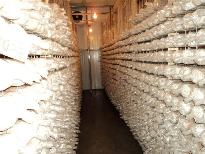 建一個100平方香菇冷庫全套要多少錢? 建一個100平方香菇冷庫全套要多少錢?