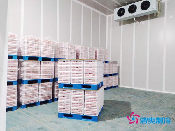 氣調保鮮冷庫內景圖