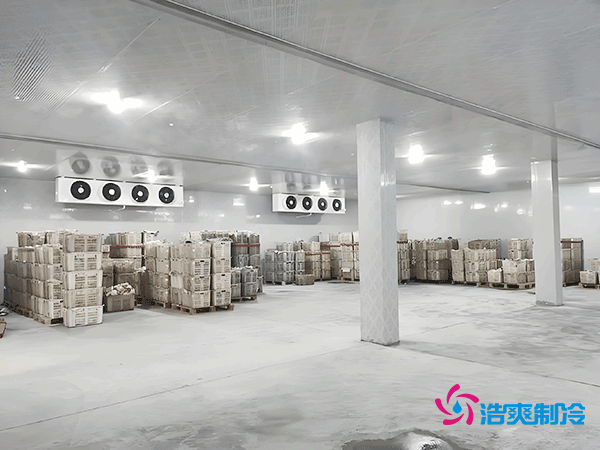 食品廠冷庫設計建造