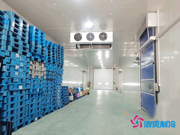 建造一個800平方米的食品冷庫需要多少費用呢？