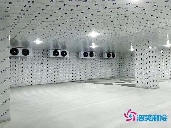 在市區建設一個100平方米的冷庫需要多少費用？