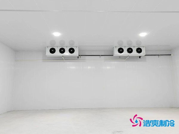 大約需要多少資金才能安裝一座小型移動式冷庫?