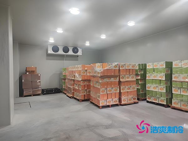 1000噸果蔬保鮮庫造價揭秘,節省成本就靠這幾點!
