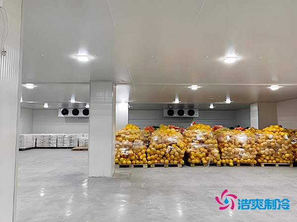 20噸玉米如何長期保鮮？冷庫造價大揭秘！