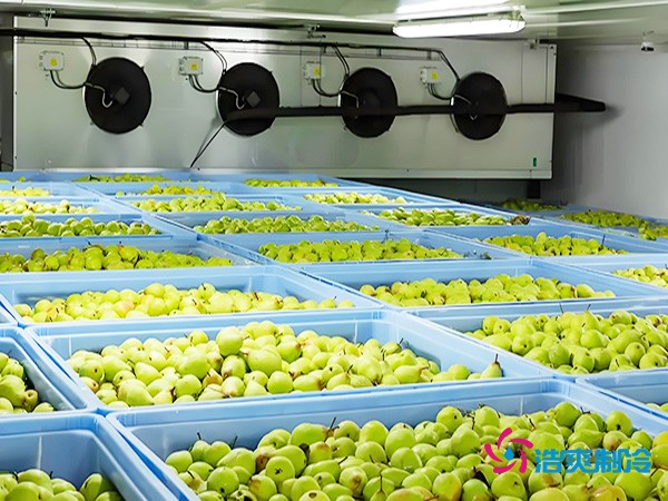 氣調(diào)保鮮冷庫(kù)造價(jià)