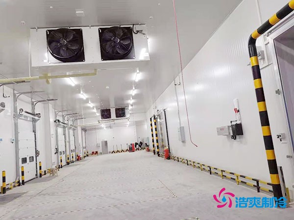 建設(shè)冷凍庫(kù)每平米造價(jià)多少錢(qián)?冷凍庫(kù)造價(jià)關(guān)鍵因素解析