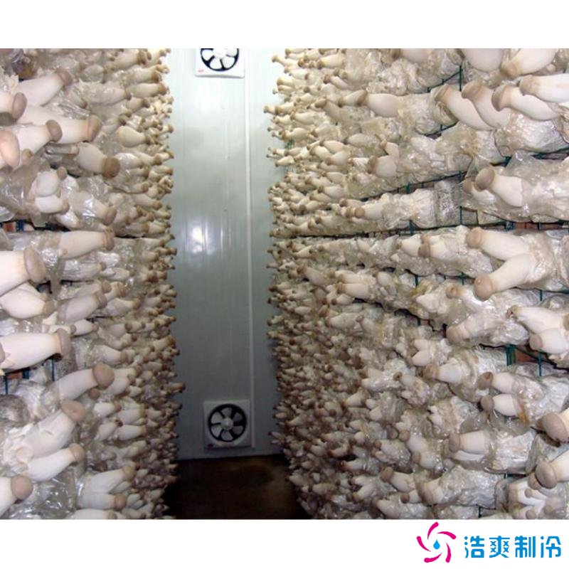 蘑菇冷庫(kù)建造成本多少錢(qián),蘑菇冷藏方法哪些