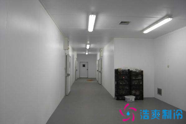 預(yù)建1000噸果蔬冷庫設(shè)計規(guī)劃,冷庫價格多少錢