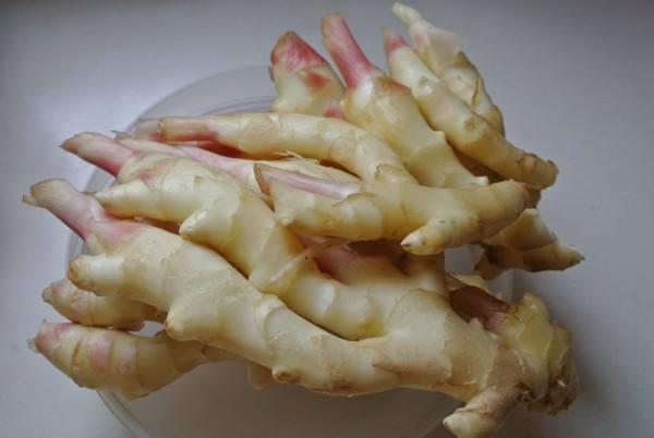 3000噸鮮姜冷庫前期規劃，冷庫造價預算多少