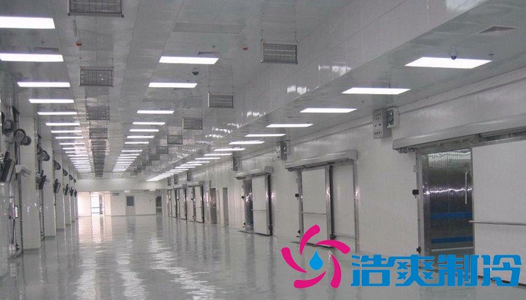 食品廠建20000平米生鮮食品物流冷庫,冷庫設計安裝造價