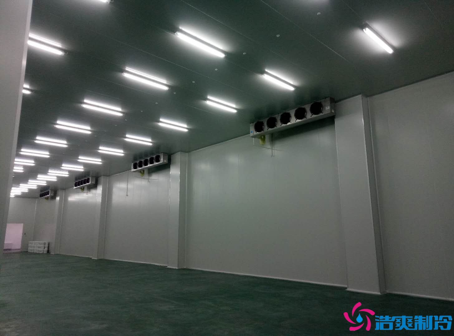 深圳金瑞凱利生物建造100㎡高標準醫(yī)藥冷庫(冷凍冷藏庫)工程案例