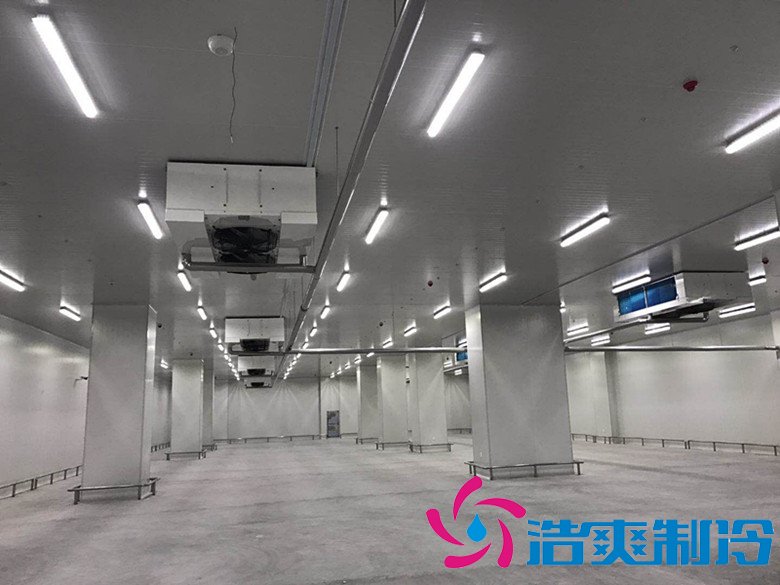 港口冷鏈冷庫市場趨勢和現狀,萬噸港口冷鏈低溫倉儲造價預算