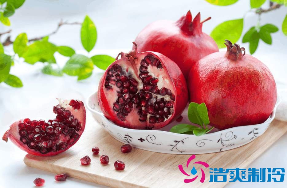 石榴冷藏庫儲存方法及安裝工程造價是多少錢?