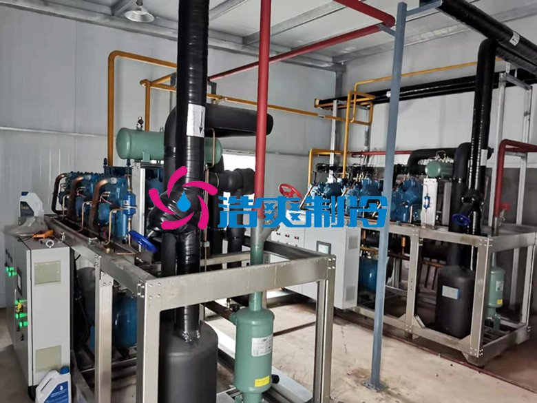 浩爽制冷,凈菜加工冷藏庫