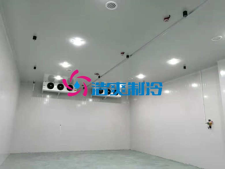 浩爽制冷，巧克力冷藏庫